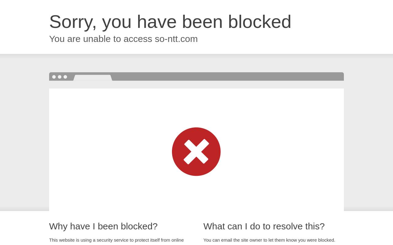 So-NTT 官网截图